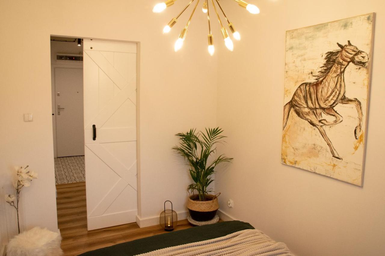 Apartament Wyspianski سانوك المظهر الخارجي الصورة